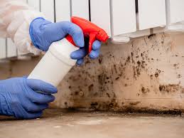 Belvidere, IL Mold Removal Services Company